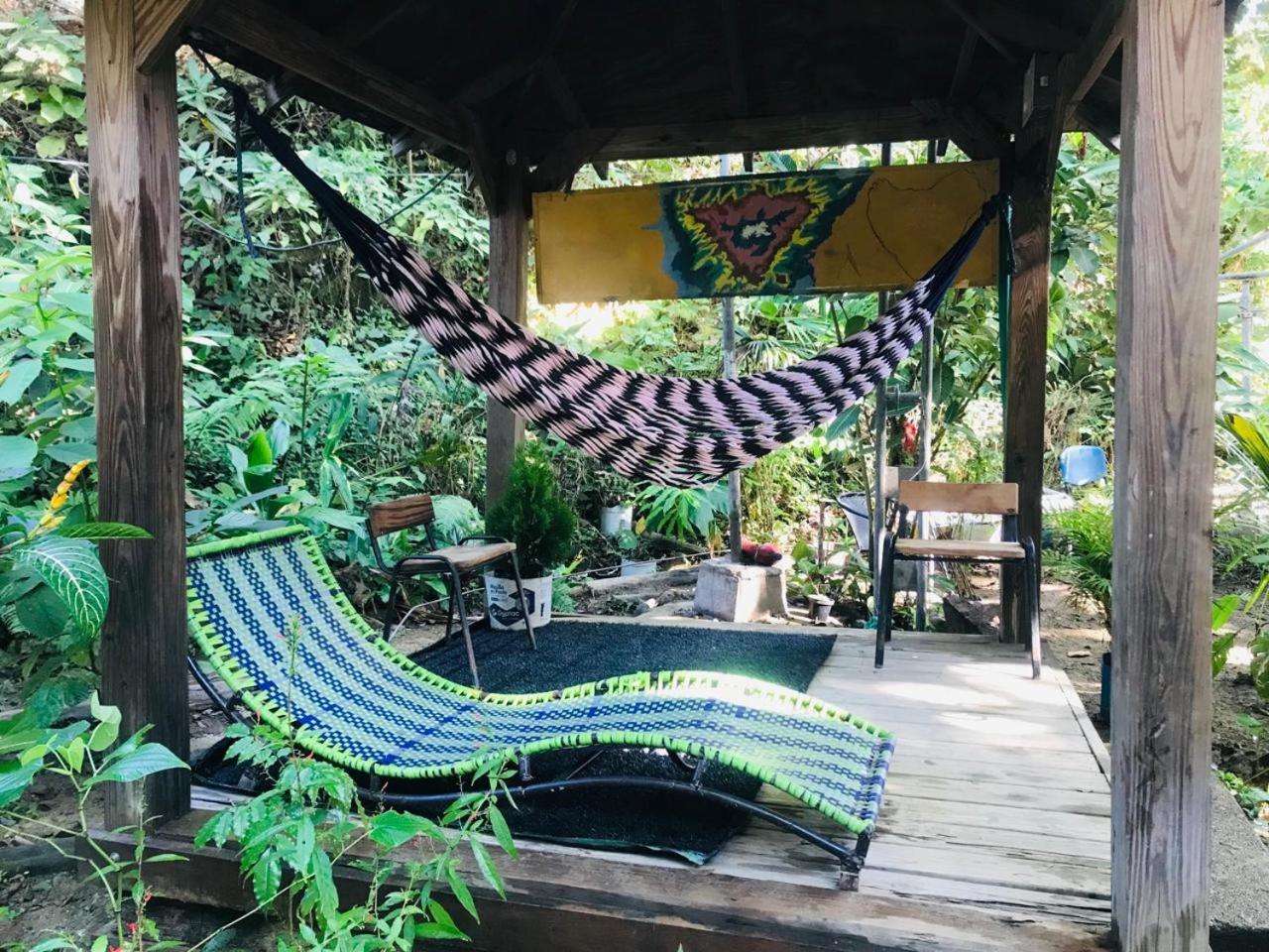 Hostal Las Mariposas Minca Exterior photo