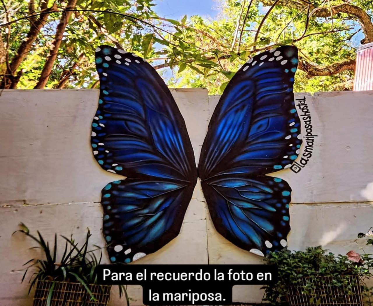 Hostal Las Mariposas Minca Exterior photo